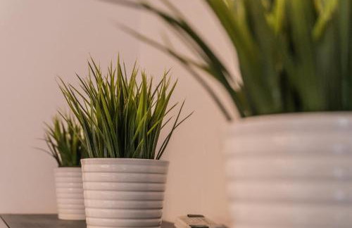 Apartamenty Balbina 1 - Foto 21