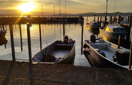 Seehaus Aachblick, Exklusive Appartements und Ferienwohnungen - Foto 22