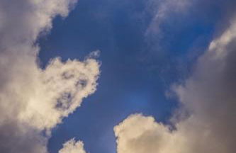 L'Olivier Fleurie Barjols - Foto 28