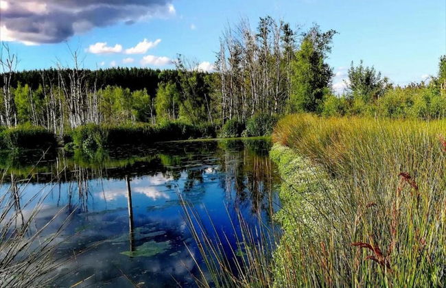 Libramont Stone Garden Haven - Photo 38