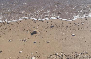 Sea apartment by beach Vine, olive oil tasting, kajaks, grill - Photo 53