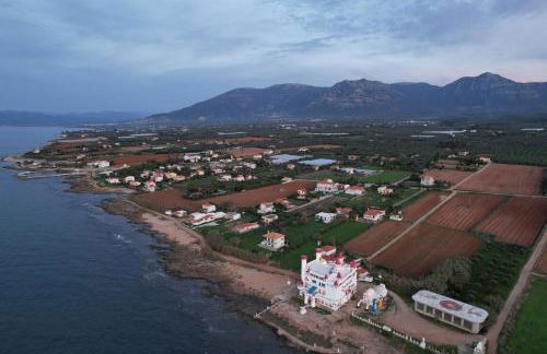 Agrilis Home - Foto 26