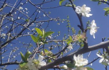 CASA RURAL Urruska - Foto 31