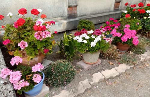 appartement du pont de la seine - Foto 1