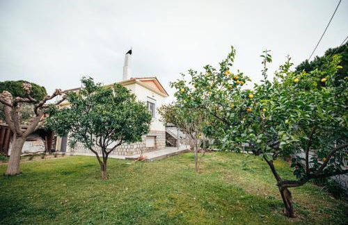 DAFNI'S HOME - Foto 7