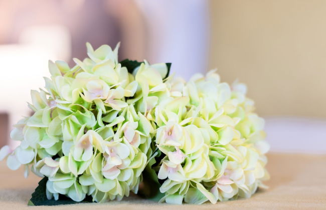 Monteborre - Foto 66