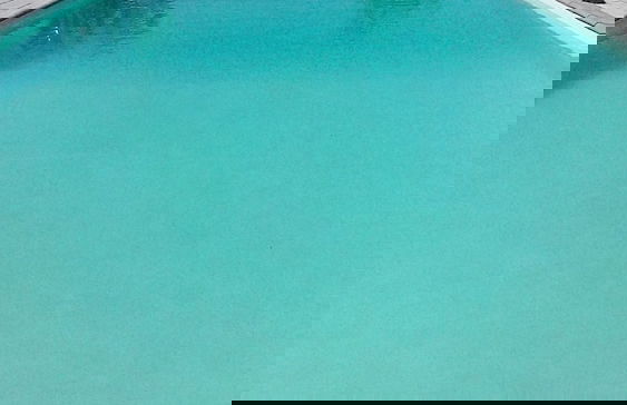 Quinta dos Ribeiros - Photo 50