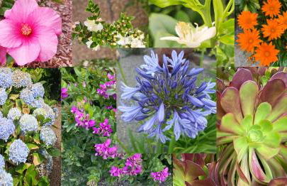 Garden Golf Tenerife - Foto 30