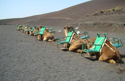 Villa Atlantis - Photo 32