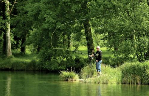 Holiday Home in Vosges with Garden and BBQ - Foto 21