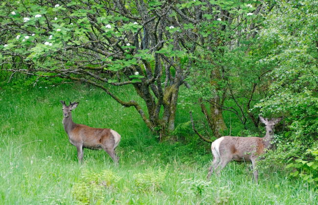 Master Apartment Hotel - Foto 30