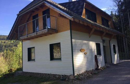 Titisee Haus Vogelnest - Photo 1