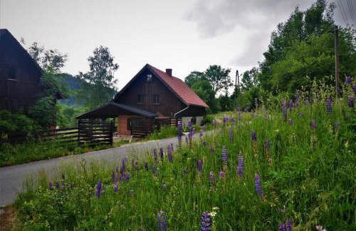 Chata nad Dziką Orlicą z jacuzzi - Foto 71