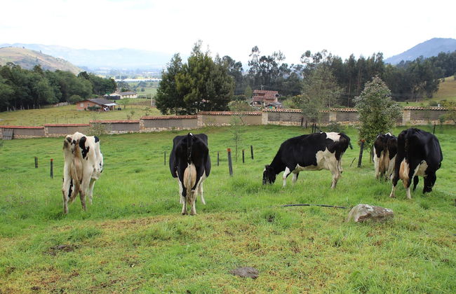 El Hostel Granjero - Foto 35