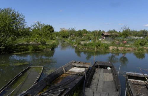 Nature et Bord d'Etang à Jars - Foto 24