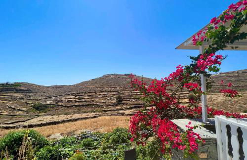 Lemon houses - Faros, Sifnos - Foto 31