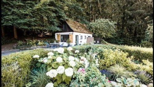 Tiny House mit eigener Sauna am Waldrand in der Fränkischen Schweiz - Foto 2