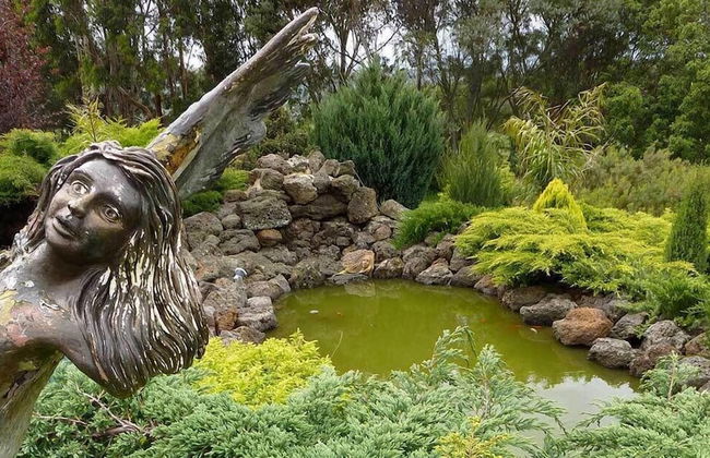 The Boomerangs - Foto 33