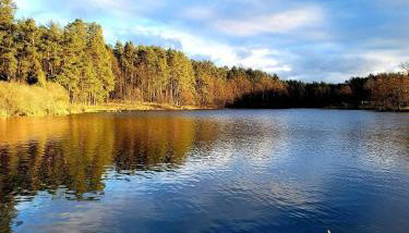 Brzozowa Ostoja - Foto 3