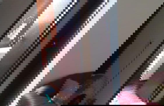 Aconchego dos schreiber - Foto 16