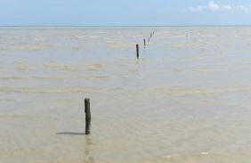 Gites Ferme de la Baie - Foto 67