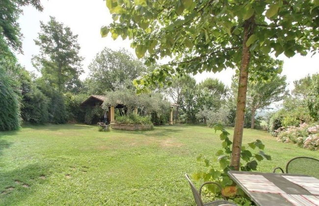 La Collina dei Ciliegi - Foto 71