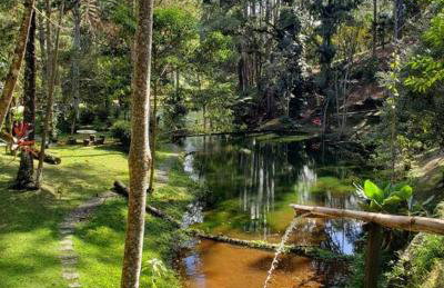 Friburgo Lagos p Pesca,Banho,Sauna,Campinho - Foto 16