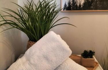 Nancy Gare Centre Parking - Foto 58