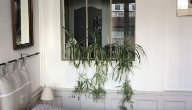 L'Omérade: Appartement de charme dans une maison audomaroise - Foto 3