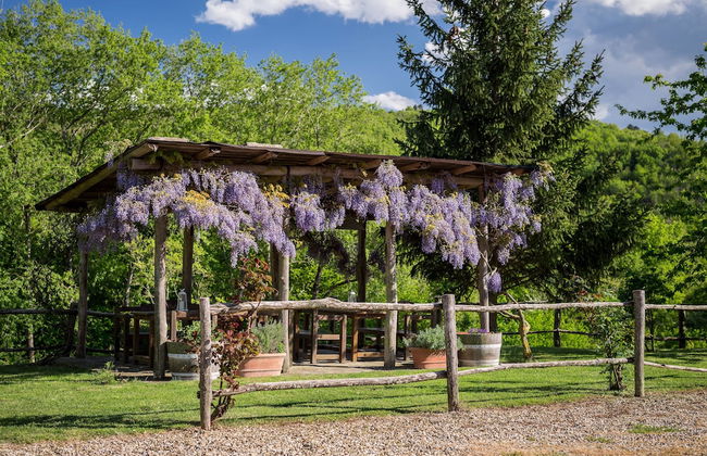 Le Cetinelle B&B - Photo 34