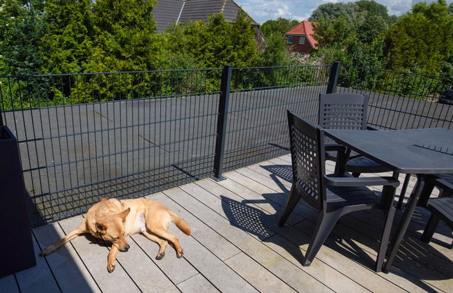 Seeschwalbe - Foto 26