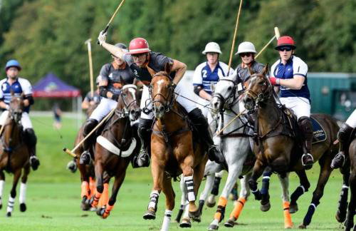 Historical cottage on private estate in Cotswolds - Foto 29