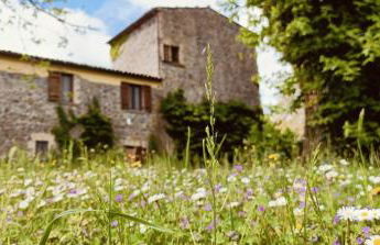 Valle del Tione-prenotazioni singole- - Foto 29