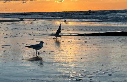 Słoneczna Przystań - Foto 51