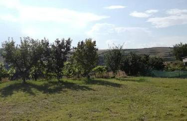 Peaceful cottage with incredible panoramic view - Foto 49