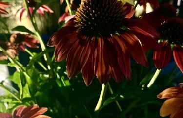 - Zuhause im Weilerblick - - Foto 47