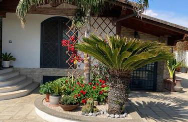 The Bamboo villa - Fraschetti Daniele - Foto 14