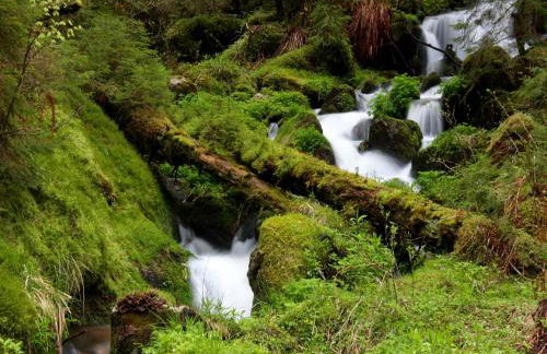 Ferienwohnung im Bernautal - Foto 46