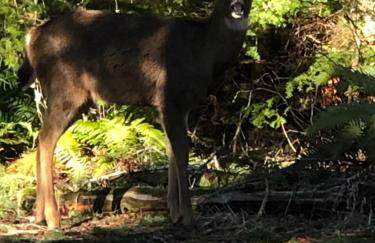 Blackberry Bunkhouse - Foto 24