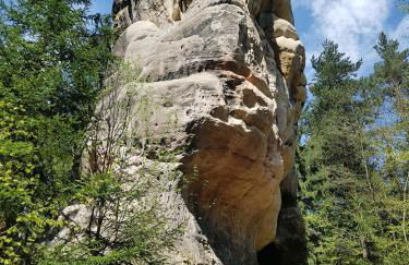 Auf-der-Muehlwiese - Foto 40