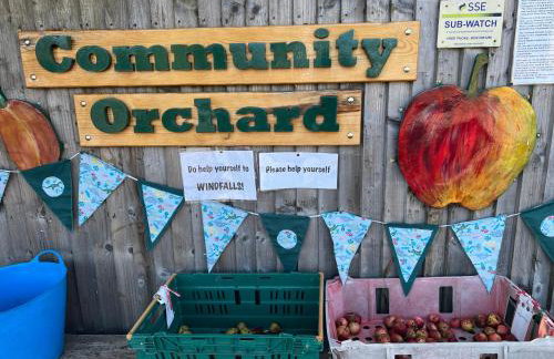 River house - Foto 51