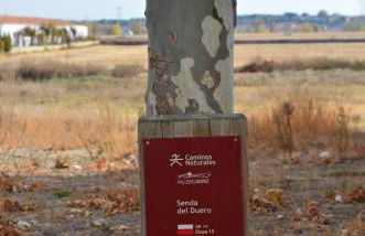 Casa Alfredo - Foto 43