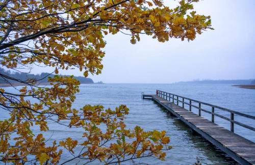 194 Fewo Dat LütjeHuus mit Dachterrasse im ersten Stock - Foto 23