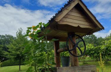 Domek u Heli - Foto 3