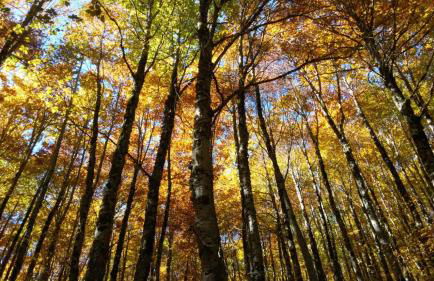 Pò delle Buche - Photo 37