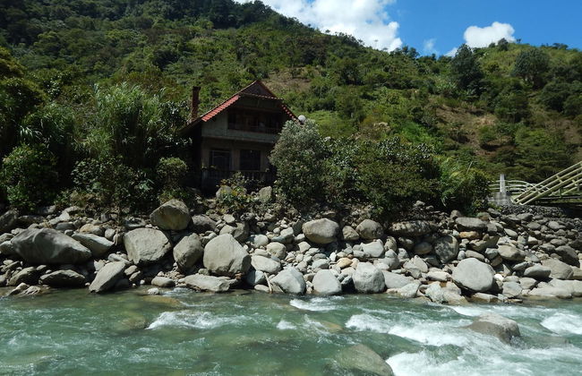 Dogs and Fish Dream Land - Foto 38