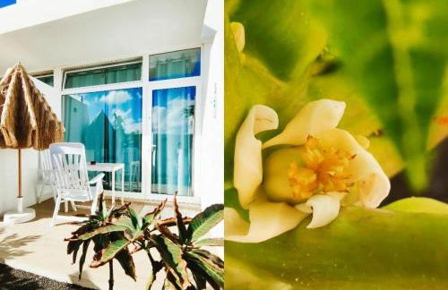 Paisaje Lunar - Photo 13