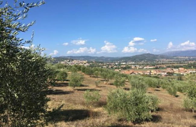 Holiday Home in Magione Near Lake Trasimeno - Foto 31