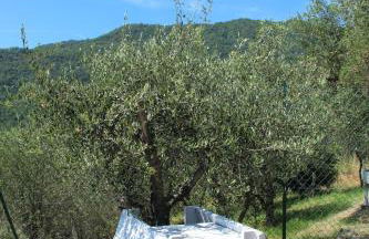 Agriturismo OlivArancio - Foto 3