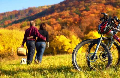 Wine Country Apartment - Foto 33